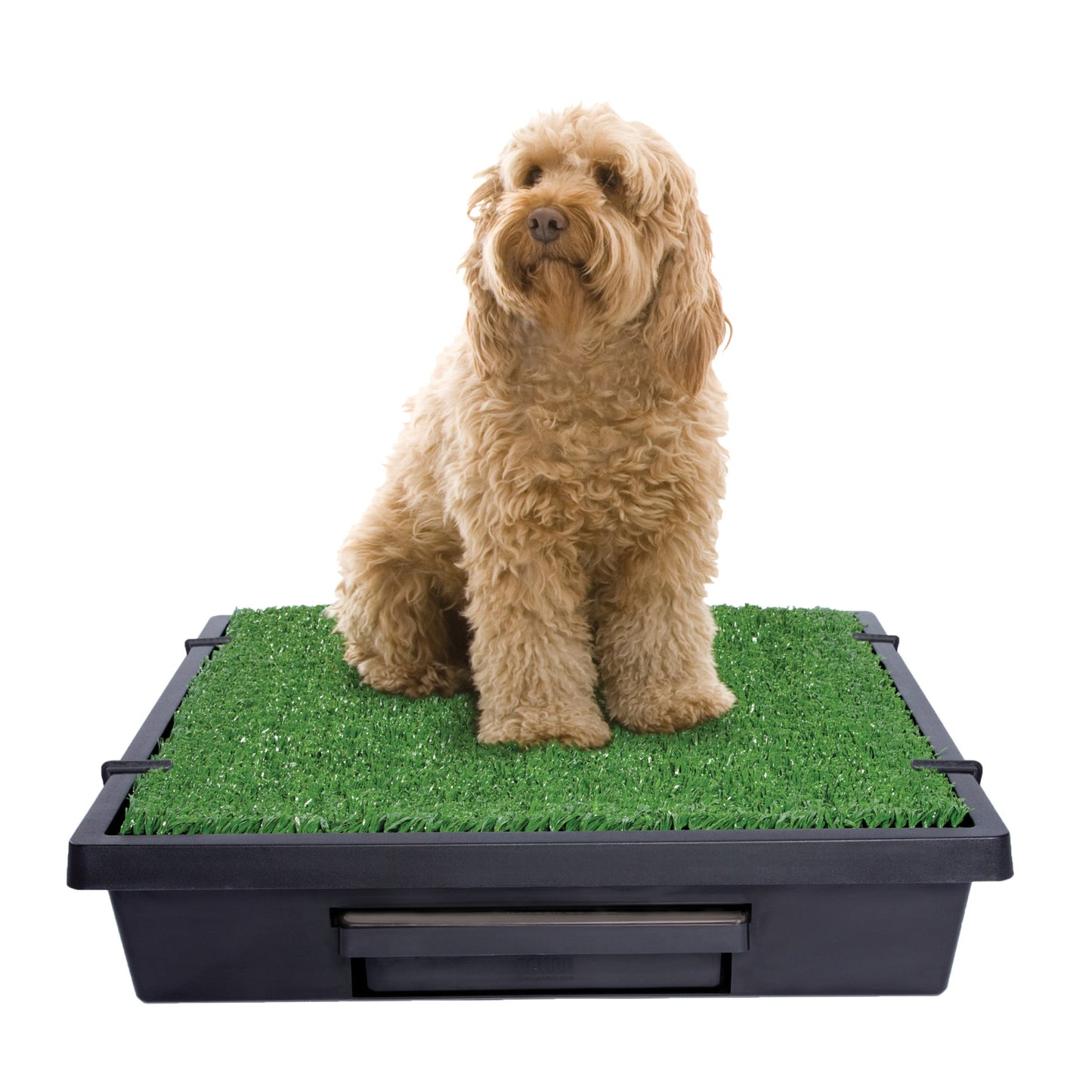 Pet Loo™ Pet Toilet
