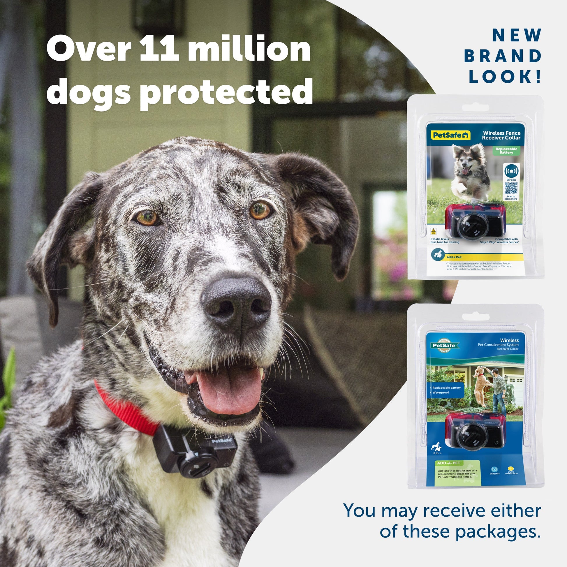 A happy dog enjoying their yard and 2 packaging options you may receive PetSafe has a new brand look Over 11 million dogs protected