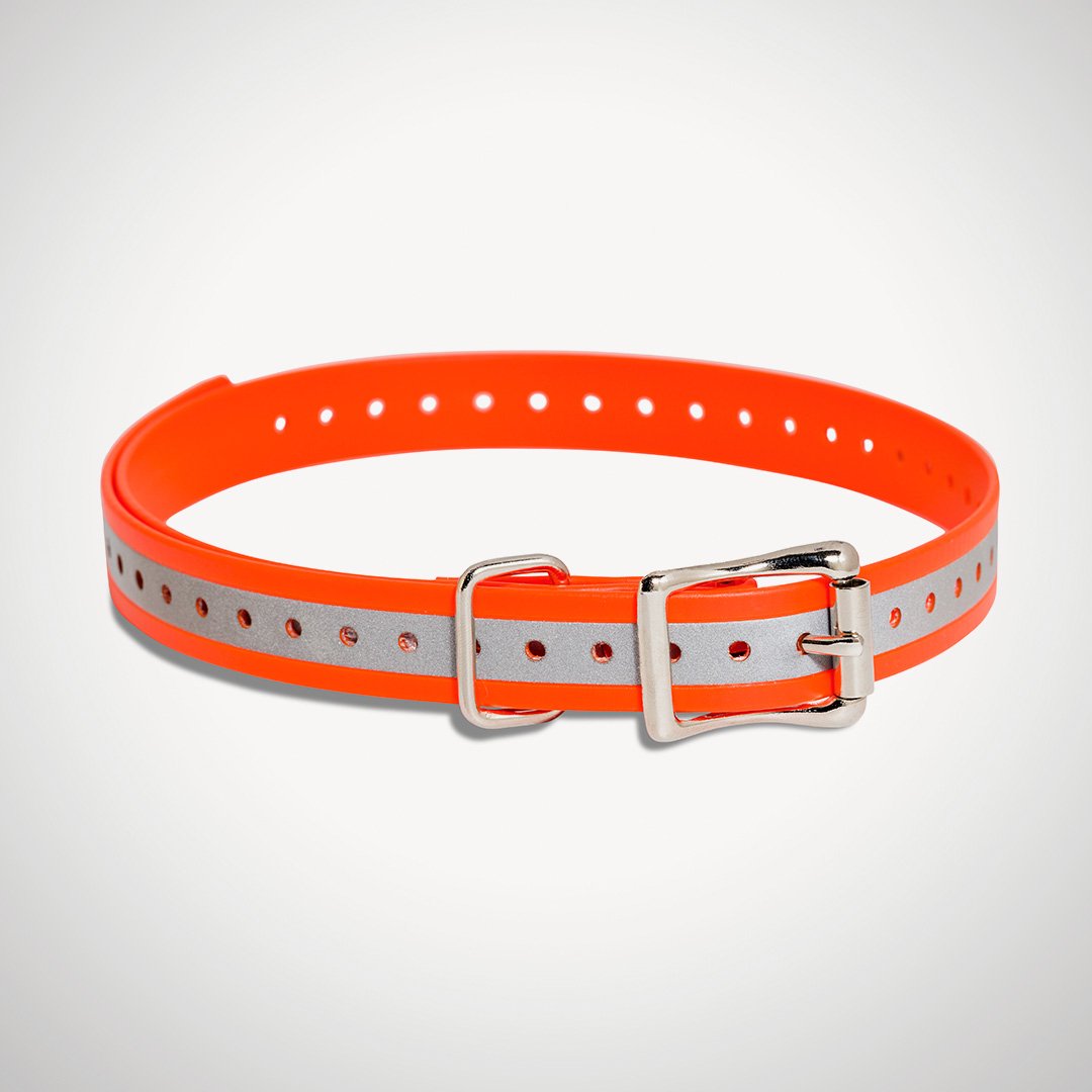 Replacement 3/4" Collar Straps