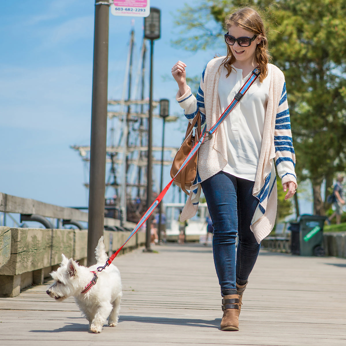 Quantum 6-in-1 Dog Leash