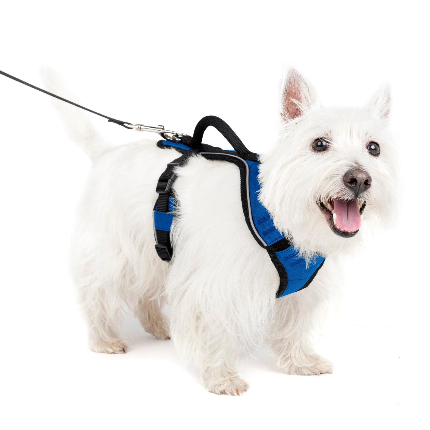 EasySport Harness