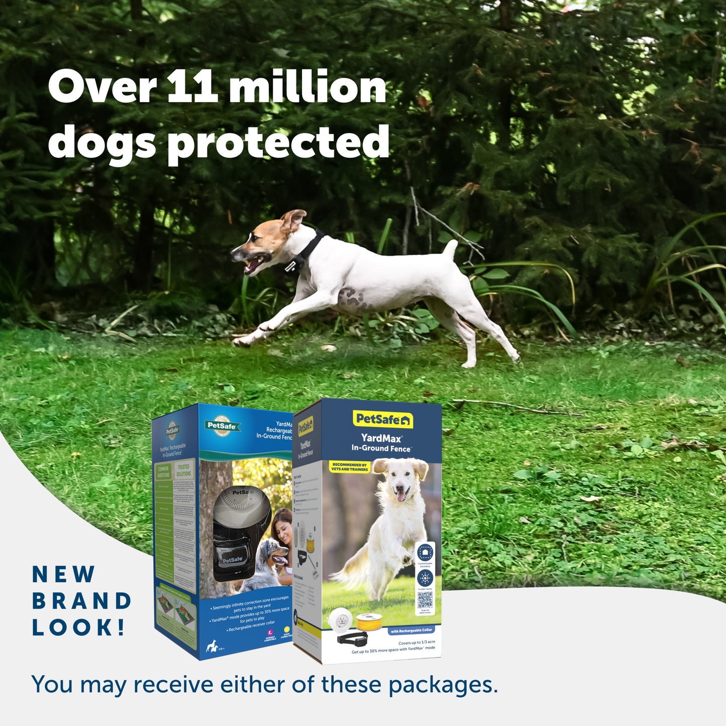 A happy dog enjoying their yard and 2 packaging options you may receive PetSafe has a new brand look over eleven million dogs protected