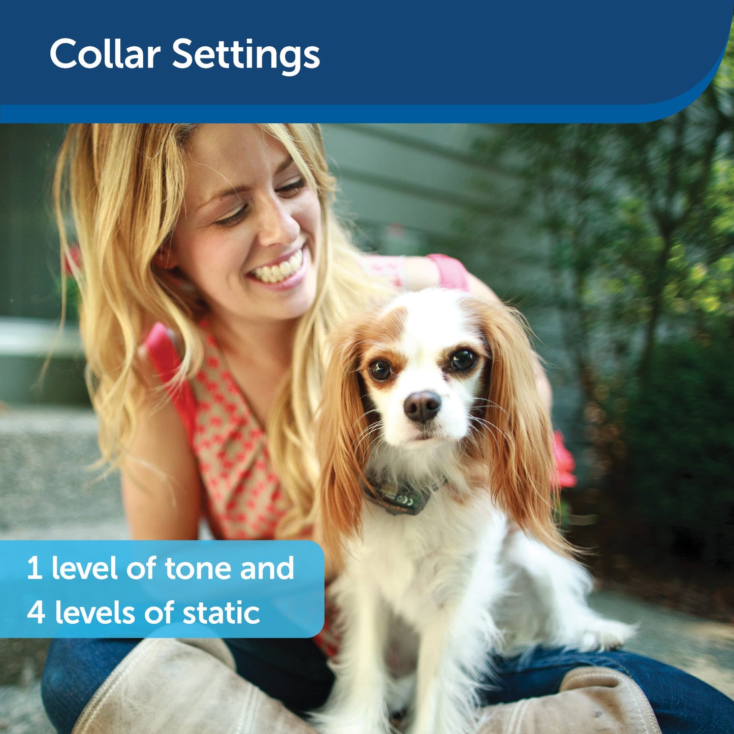 Deluxe Little Dog In-Ground Fence™ Receiver Collar