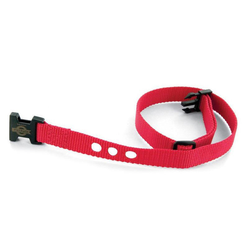 Replacement Collar Strap for Basic Bark Collar