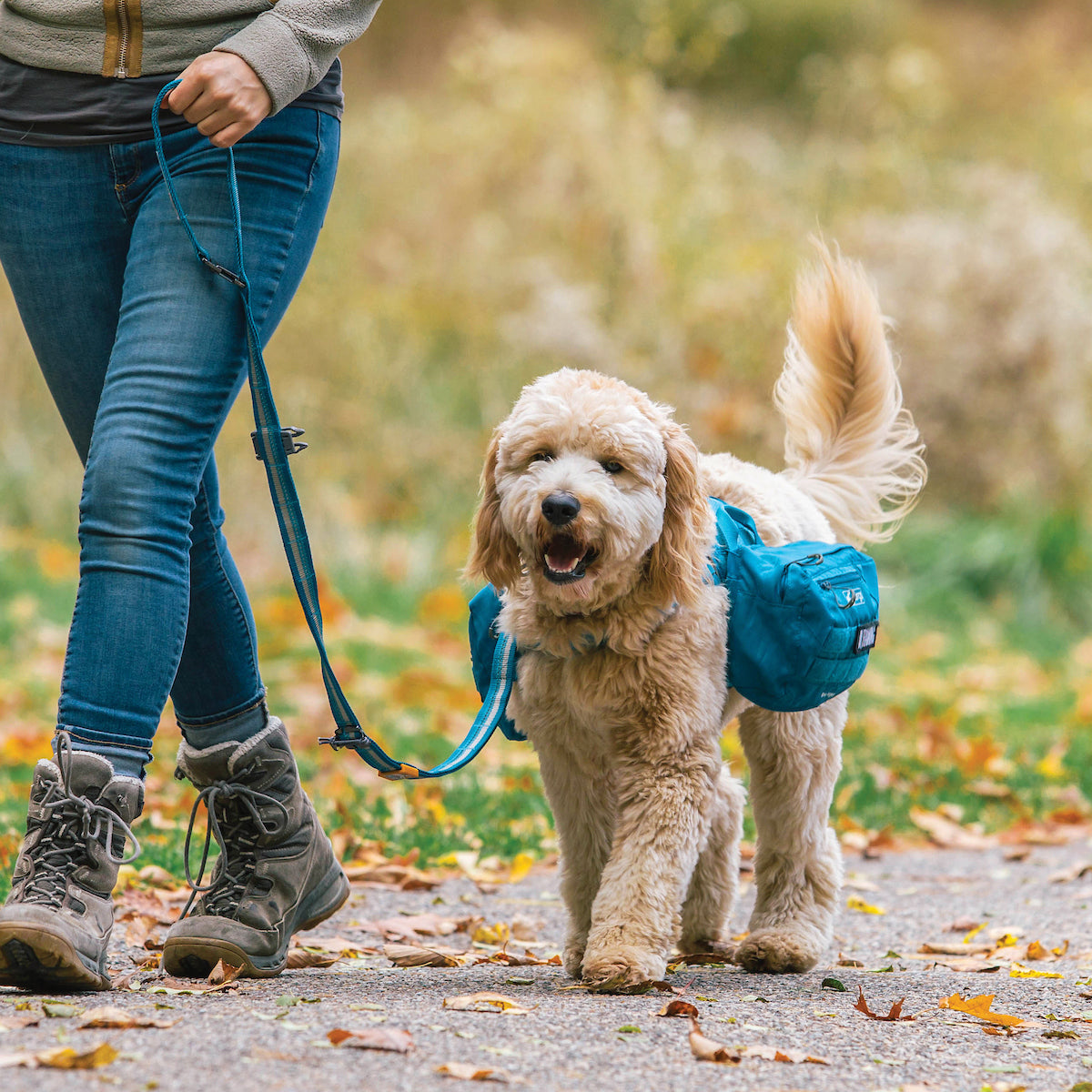 RSG Dog Stub Leash