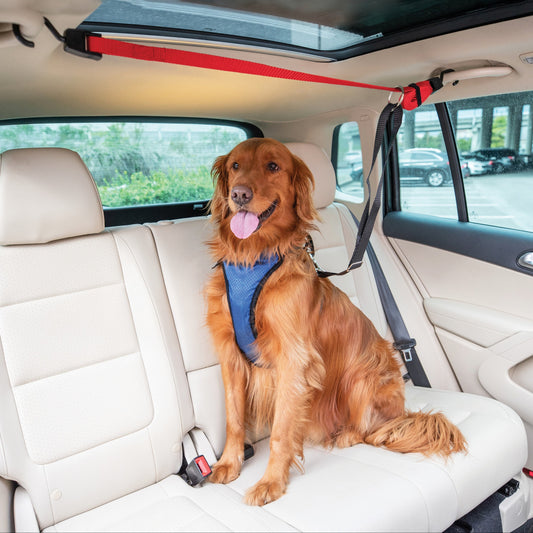 Happy Ride® Dog Zipline