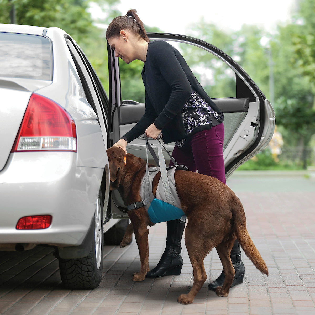Up & About Dog Lifter