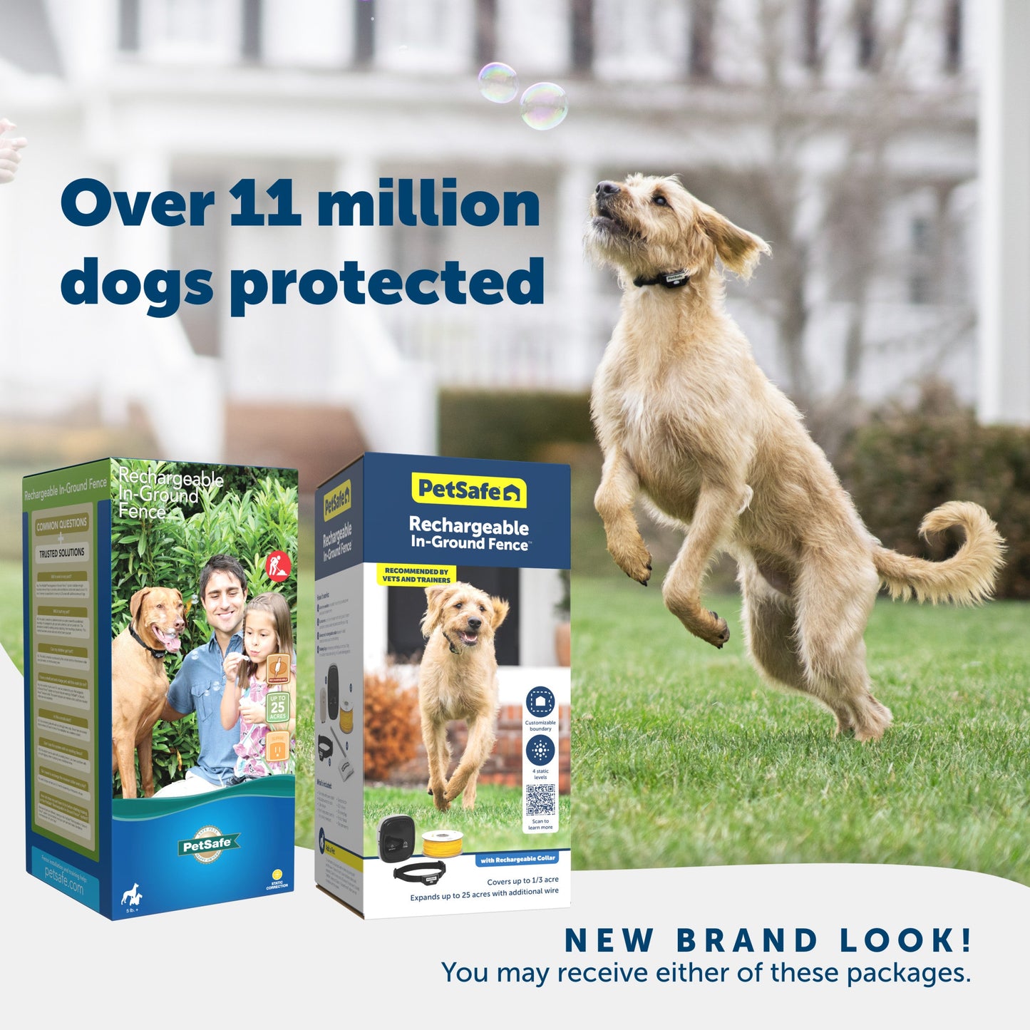 A happy dog enjoying their yard and 2 packaging options you may receive PetSafe has a new brand look Over 11 million dogs protected