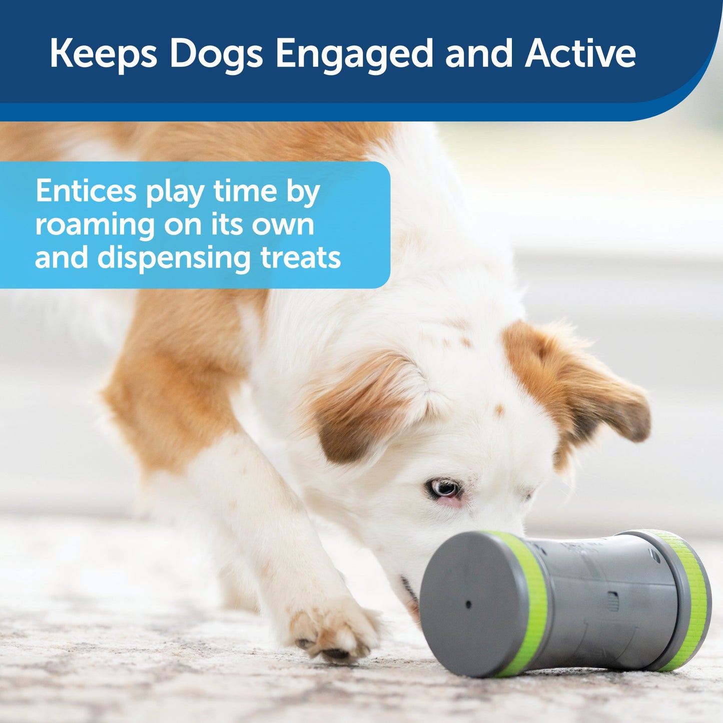 Kibble Chase™ Roaming Treat Dropper