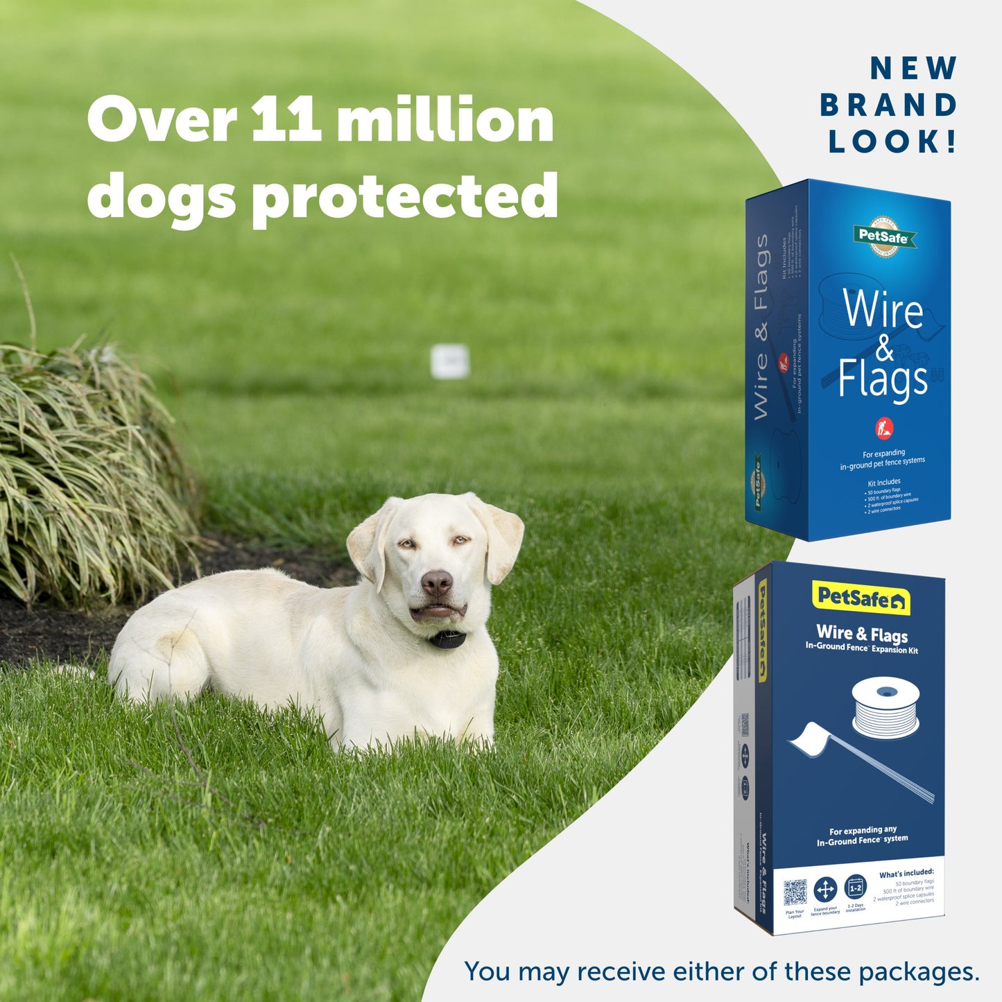 A happy dog enjoying their yard and 2 packaging options you may receive PetSafe has a new brand look Over 11 million dogs protected