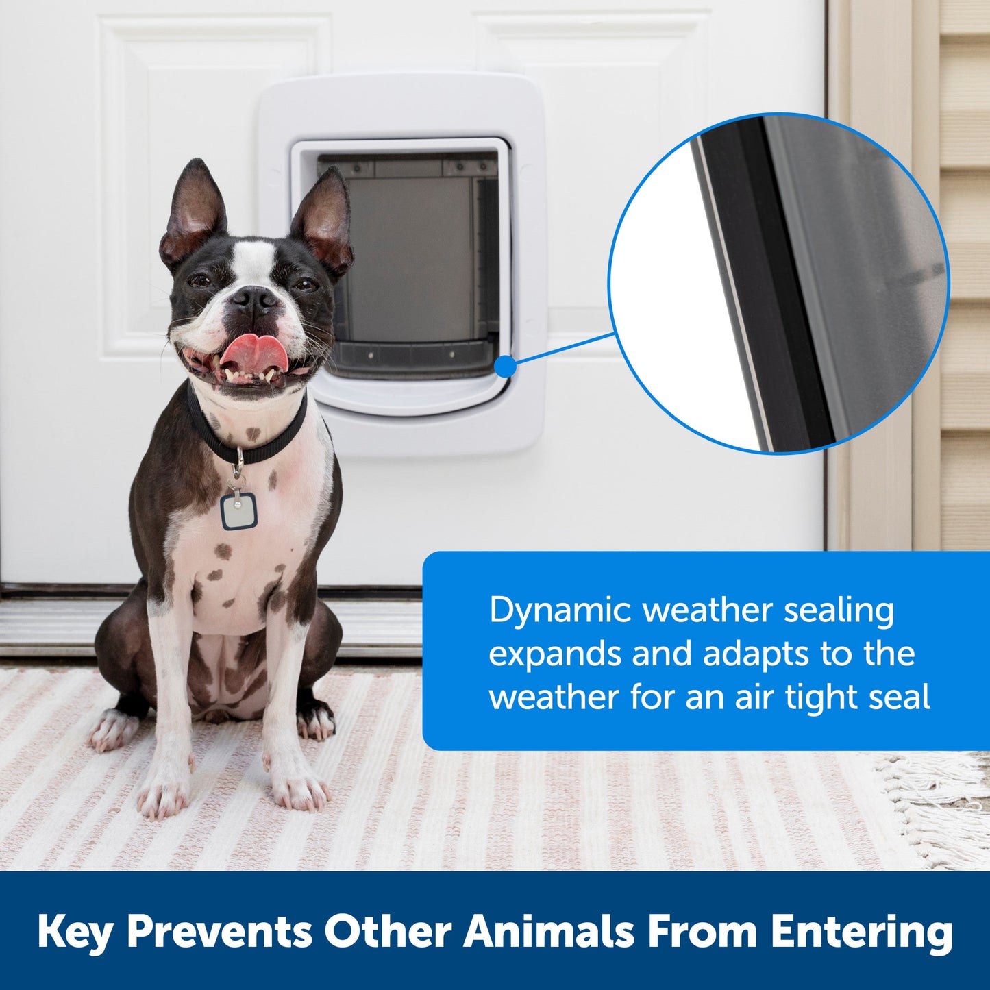 SmartDoor™ Connected Pet Door Tunnel Extension