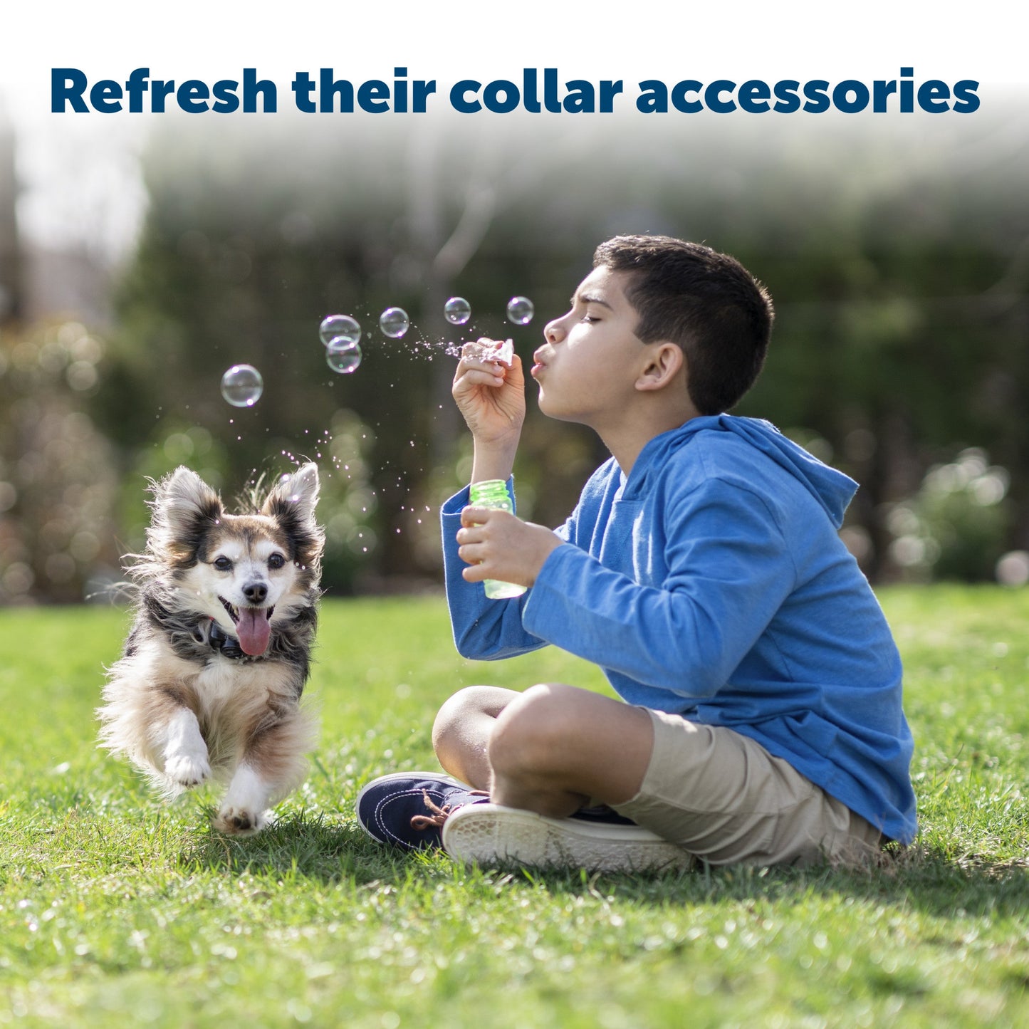 A boy blowing bubbles with his excited pup outside refresh their collar accessories