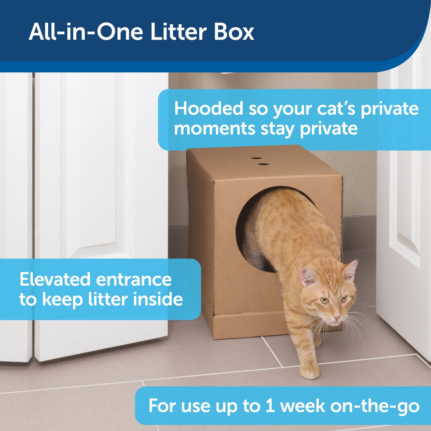 Disposable Litter Box with Litter
