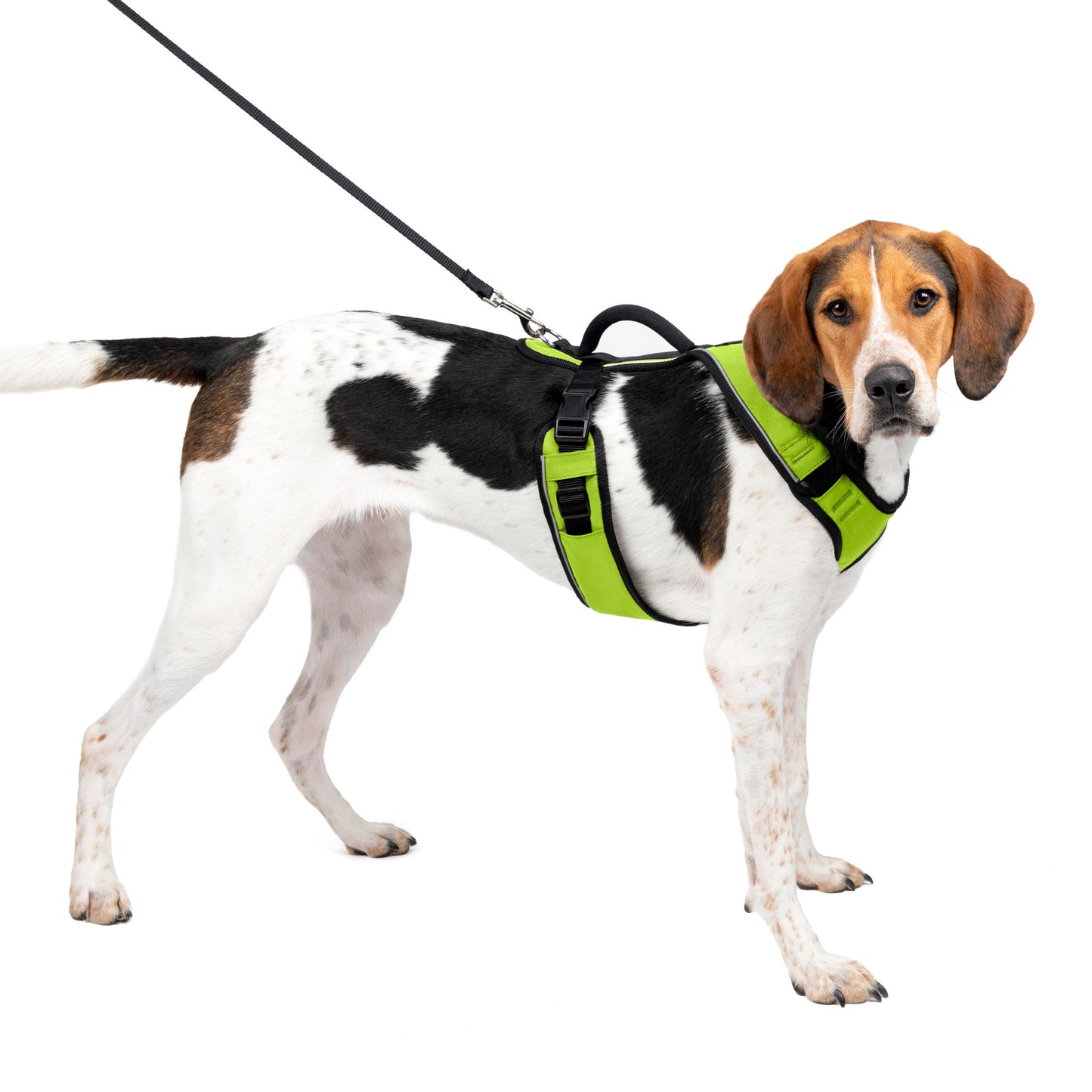 EasySport Harness
