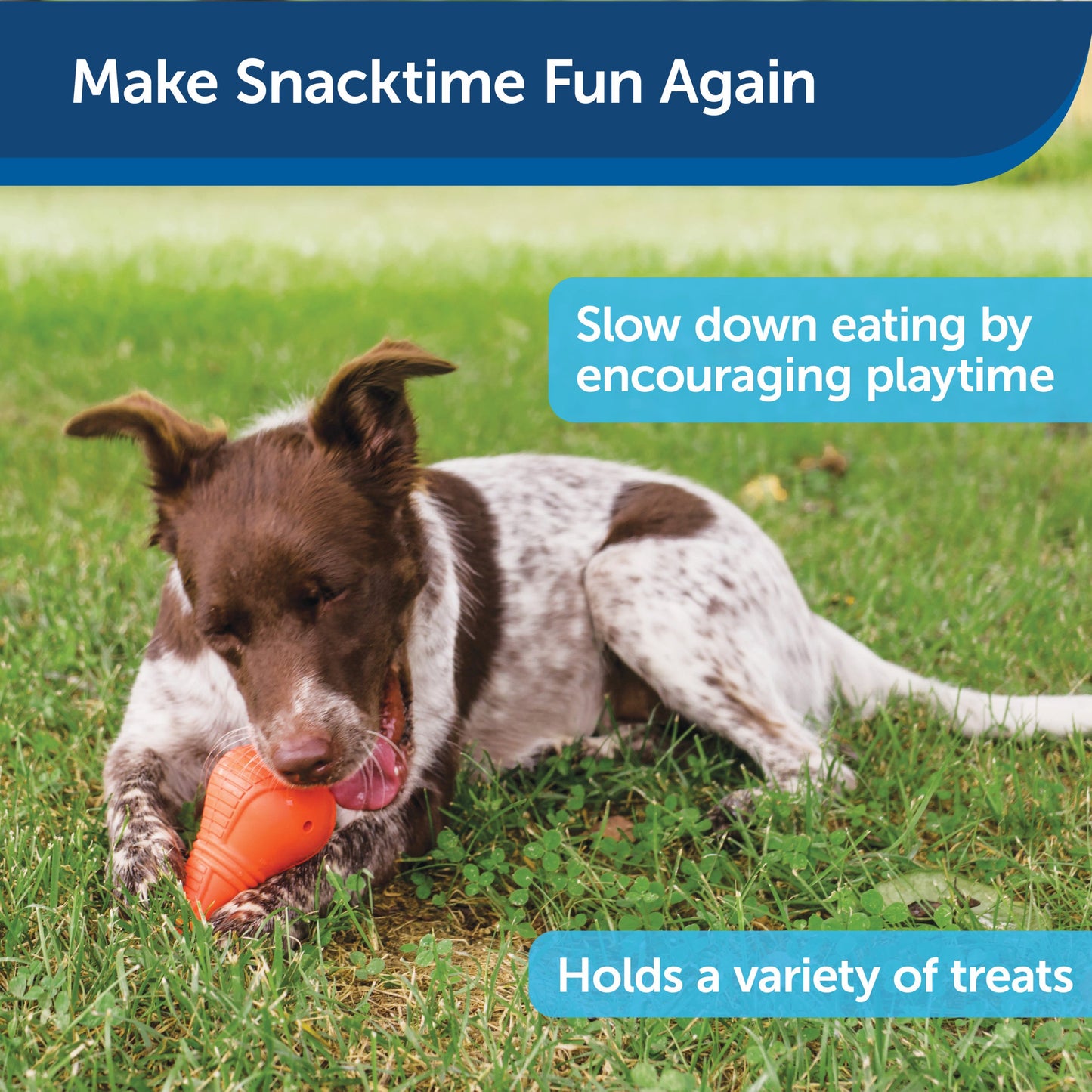 Squeak 'n Treat Booya