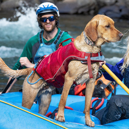 Surf N Turf Dog Life Jacket