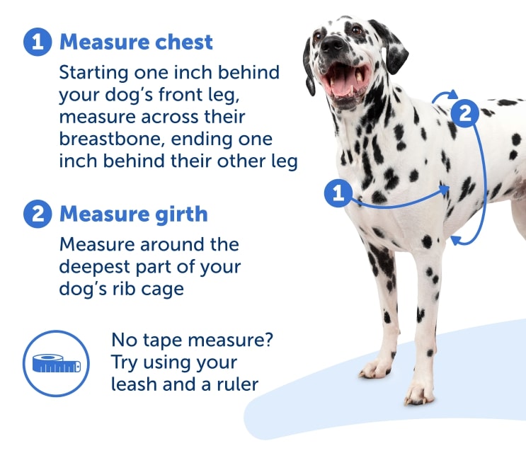 Deluxe Easy Walk® Harness