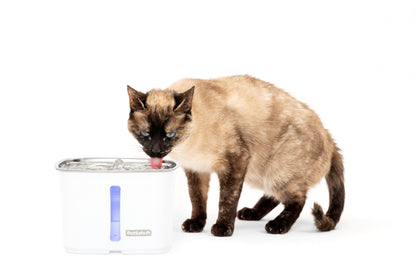Viva™ Pet Fountain