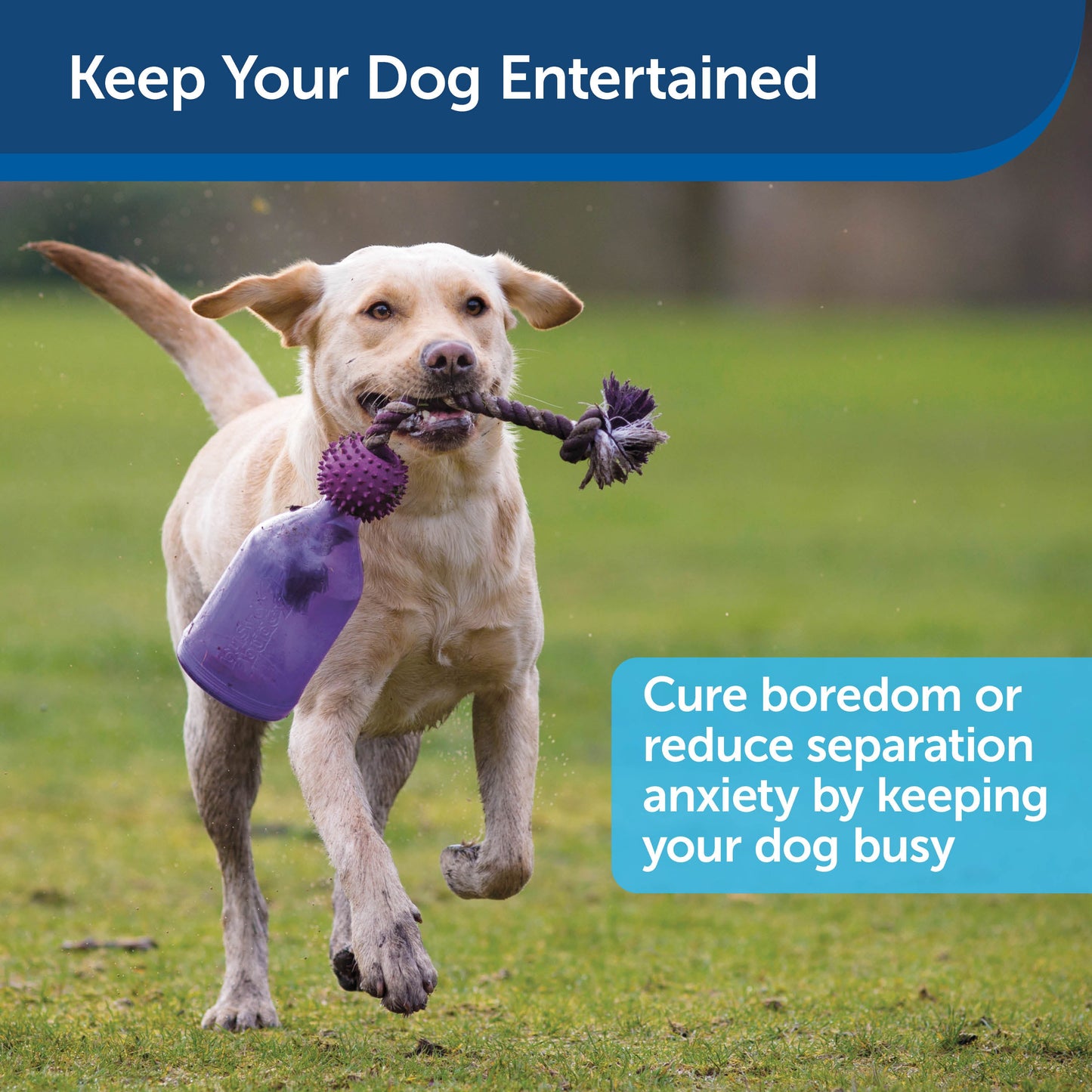 Busy Buddy® Tug-A-Jug™