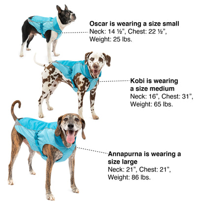 For help sizing your dog, use this image as a reference.