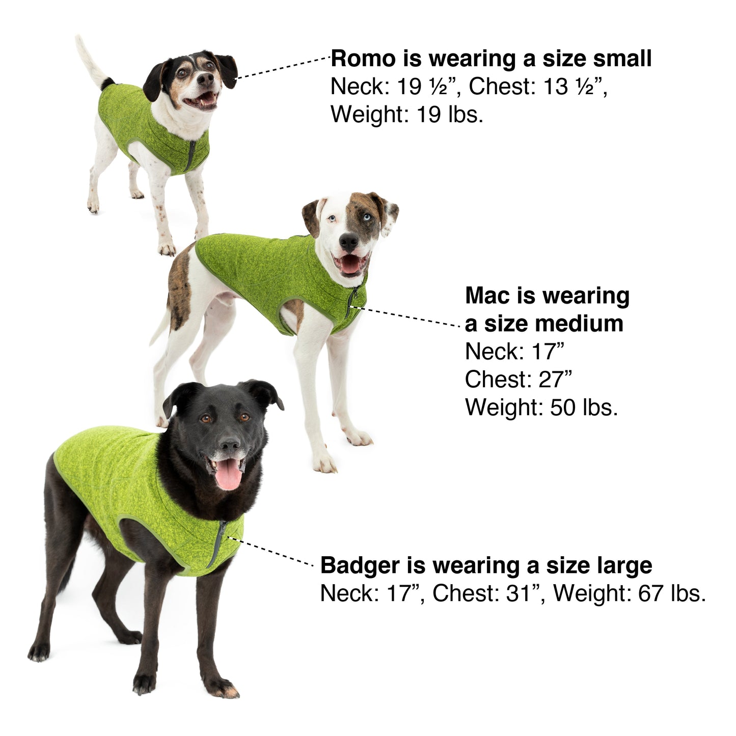 For help sizing your dog, use this image as a reference.
