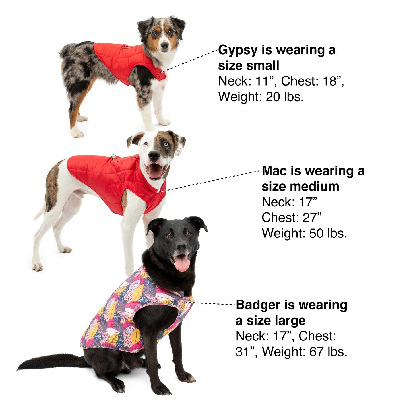 For help sizing your dog, use this image as a reference.