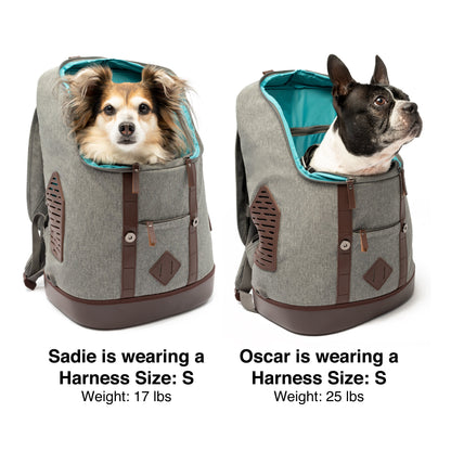 Use this image as a size reference.