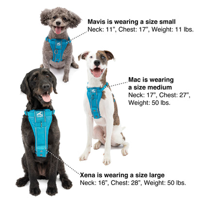 For help sizing your dog, use this image as a reference.