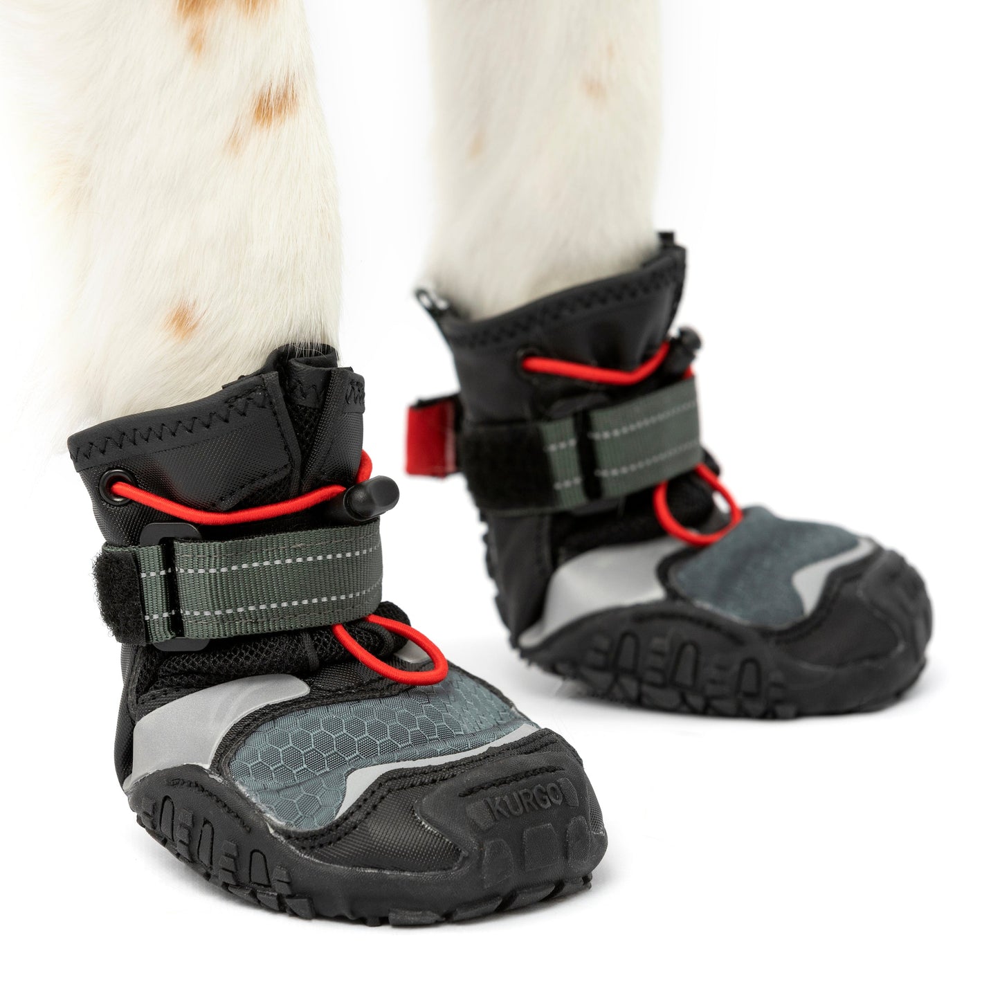 Blaze Dog Boots