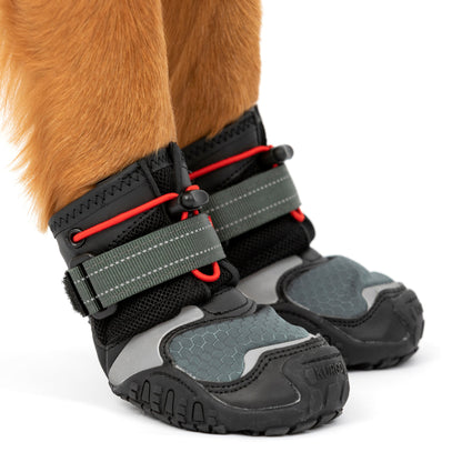 Blaze Dog Boots