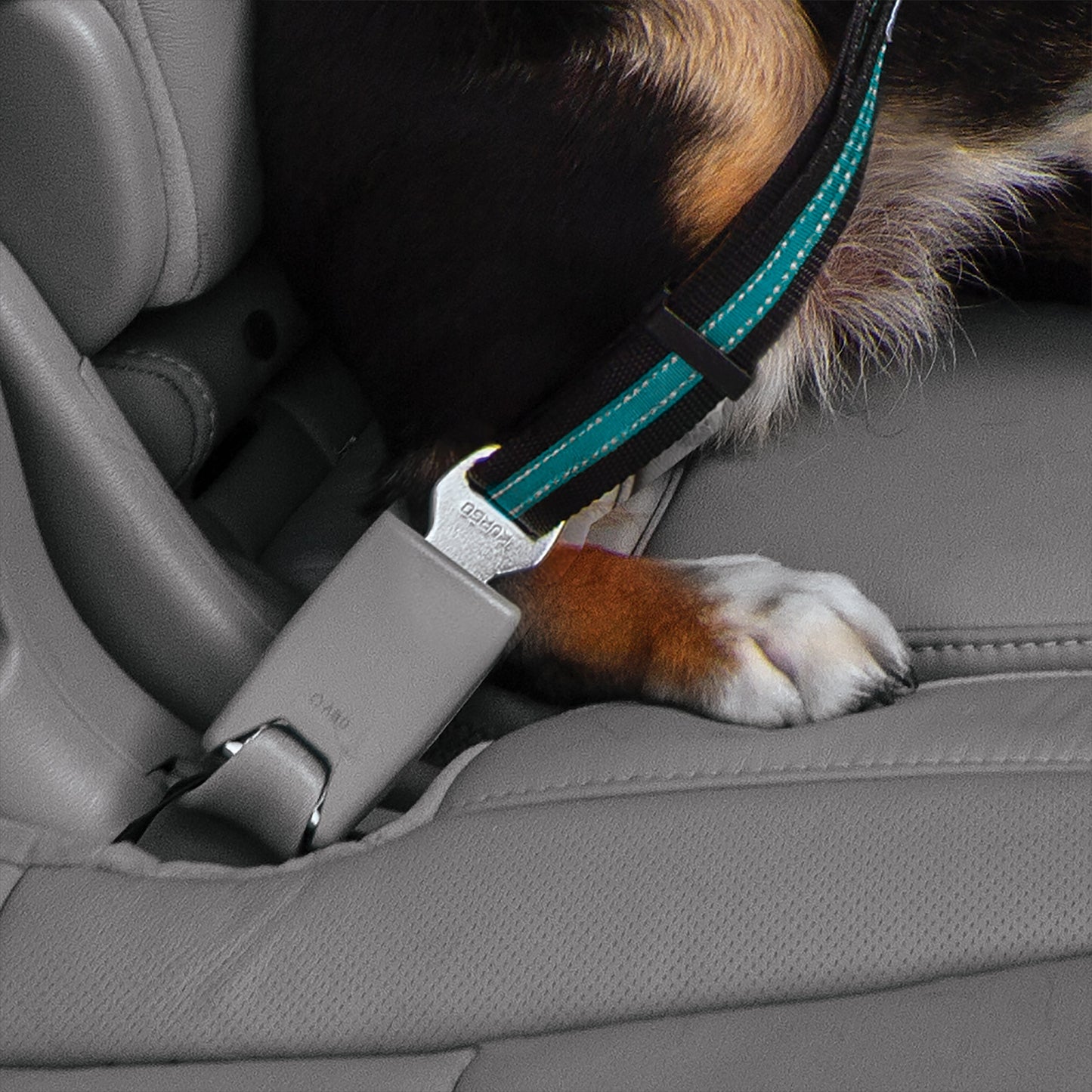 Direct to Seatbelt Swivel Tether