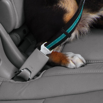 Direct to Seatbelt Swivel Tether