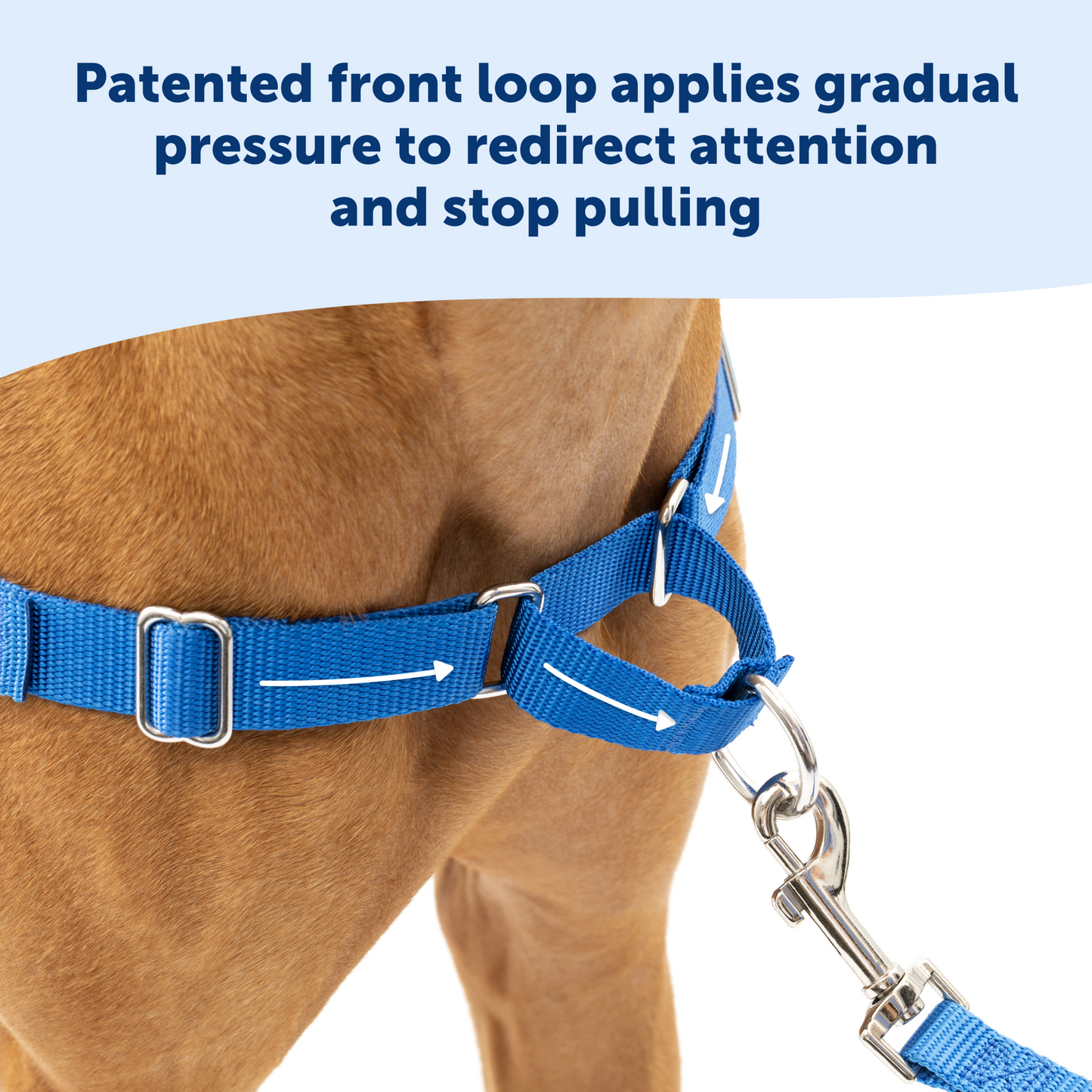 Easy Walk® Harness, No Pull Dog Harness