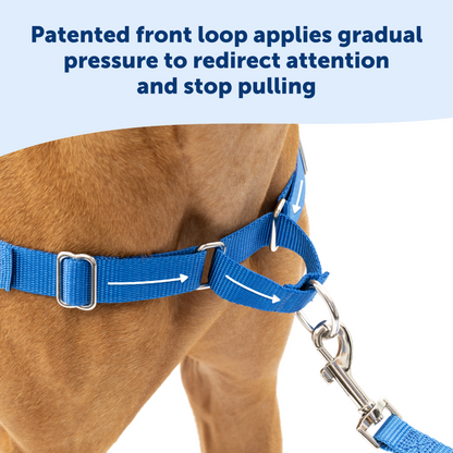 Easy Walk® Harness, No Pull Dog Harness