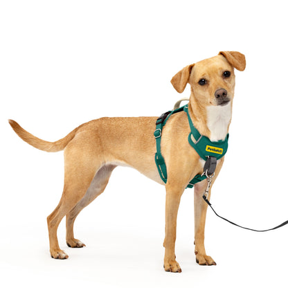 Easy Walk® Comfort No-Pull Dog Harness