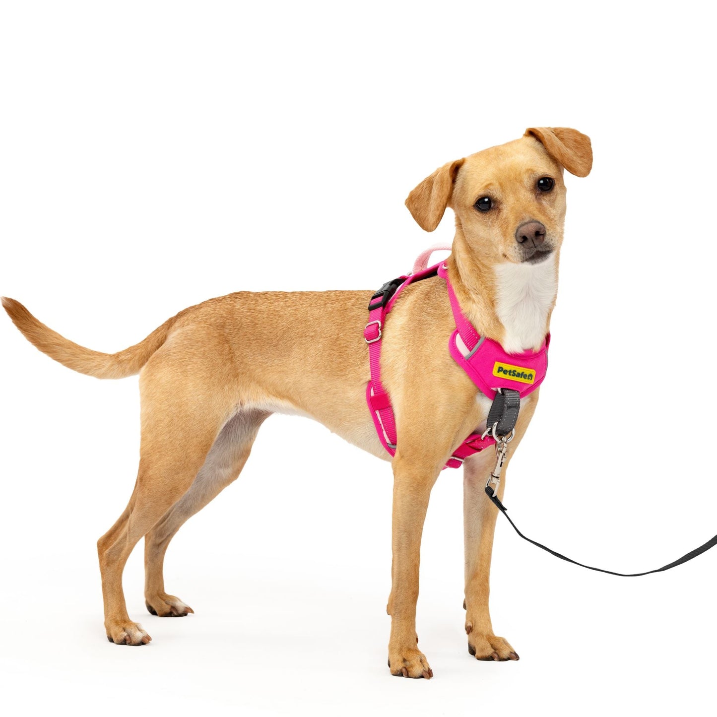 Easy Walk® Comfort No-Pull Dog Harness