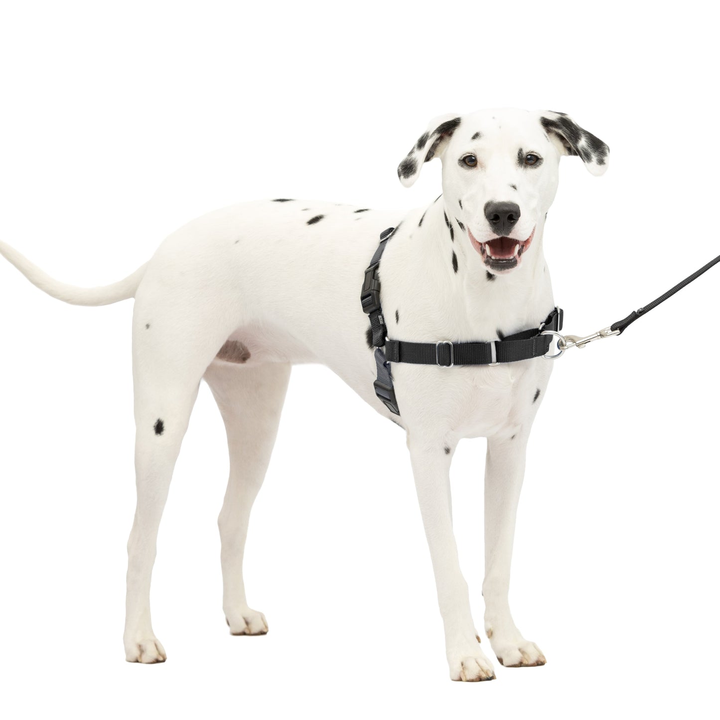 Easy Walk® Harness, No Pull Dog Harness