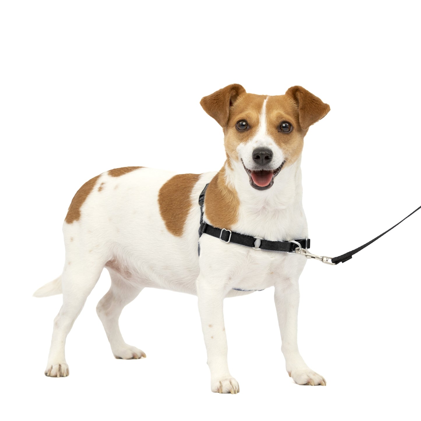 Easy Walk® Harness, No Pull Dog Harness