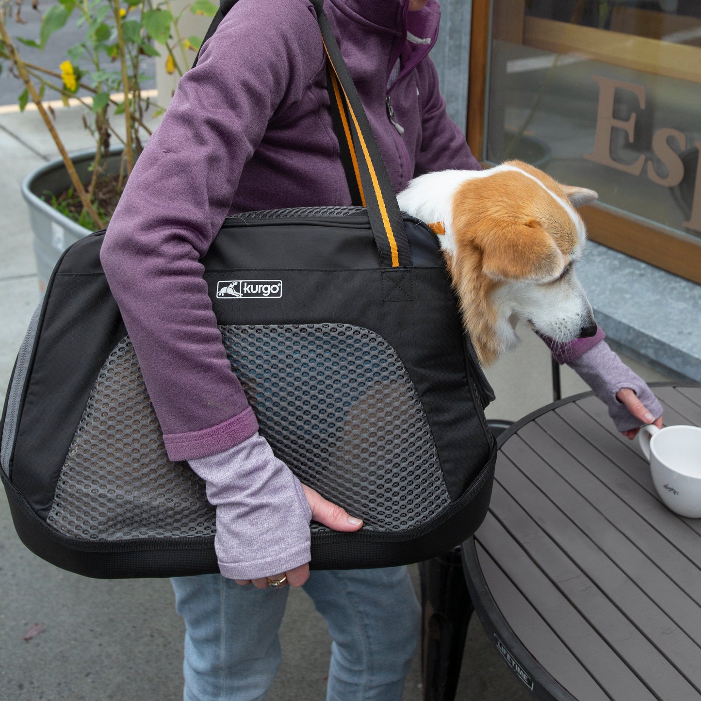 Explorer Dog Carrier