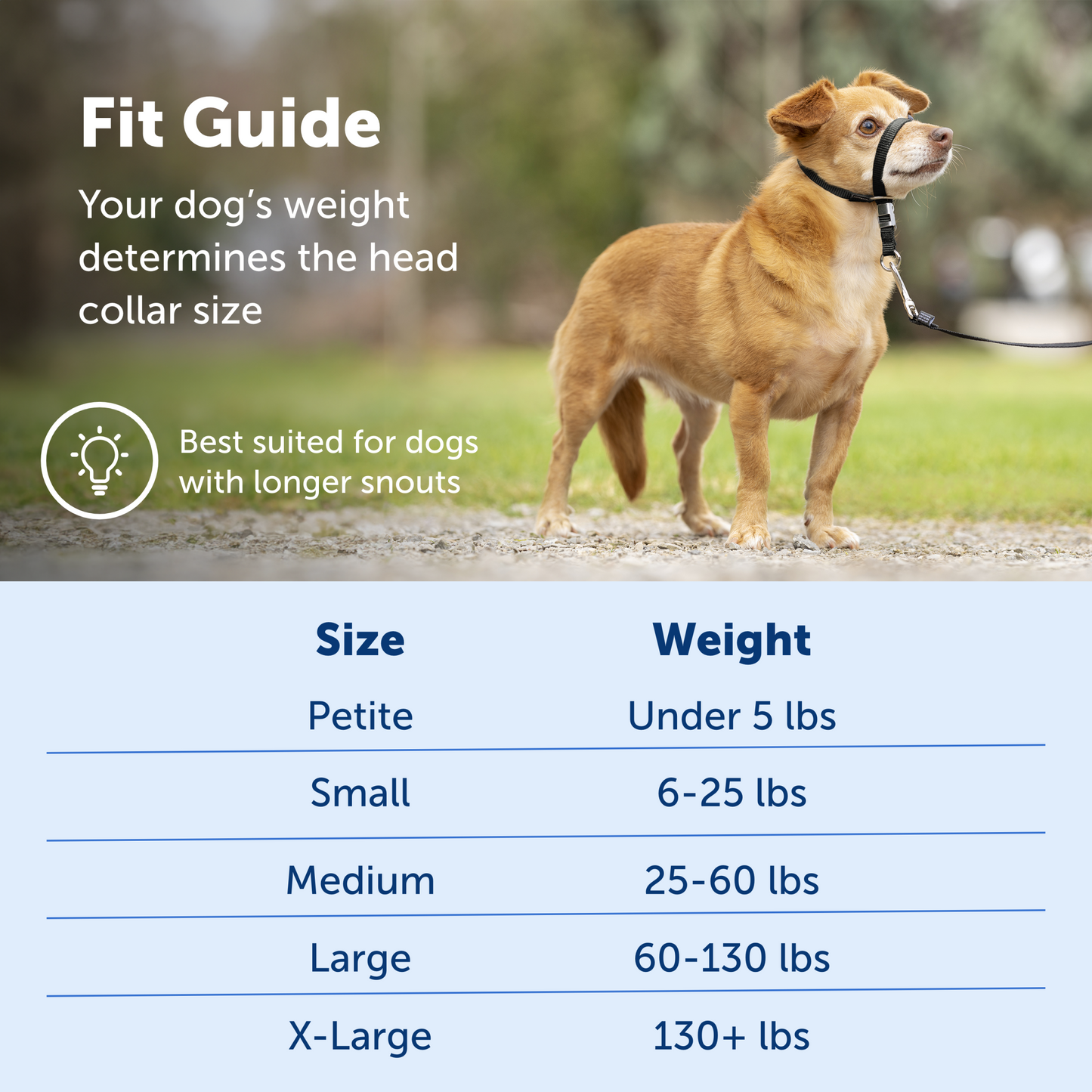 Gentle Leader® Headcollar, No-Pull Dog Collar