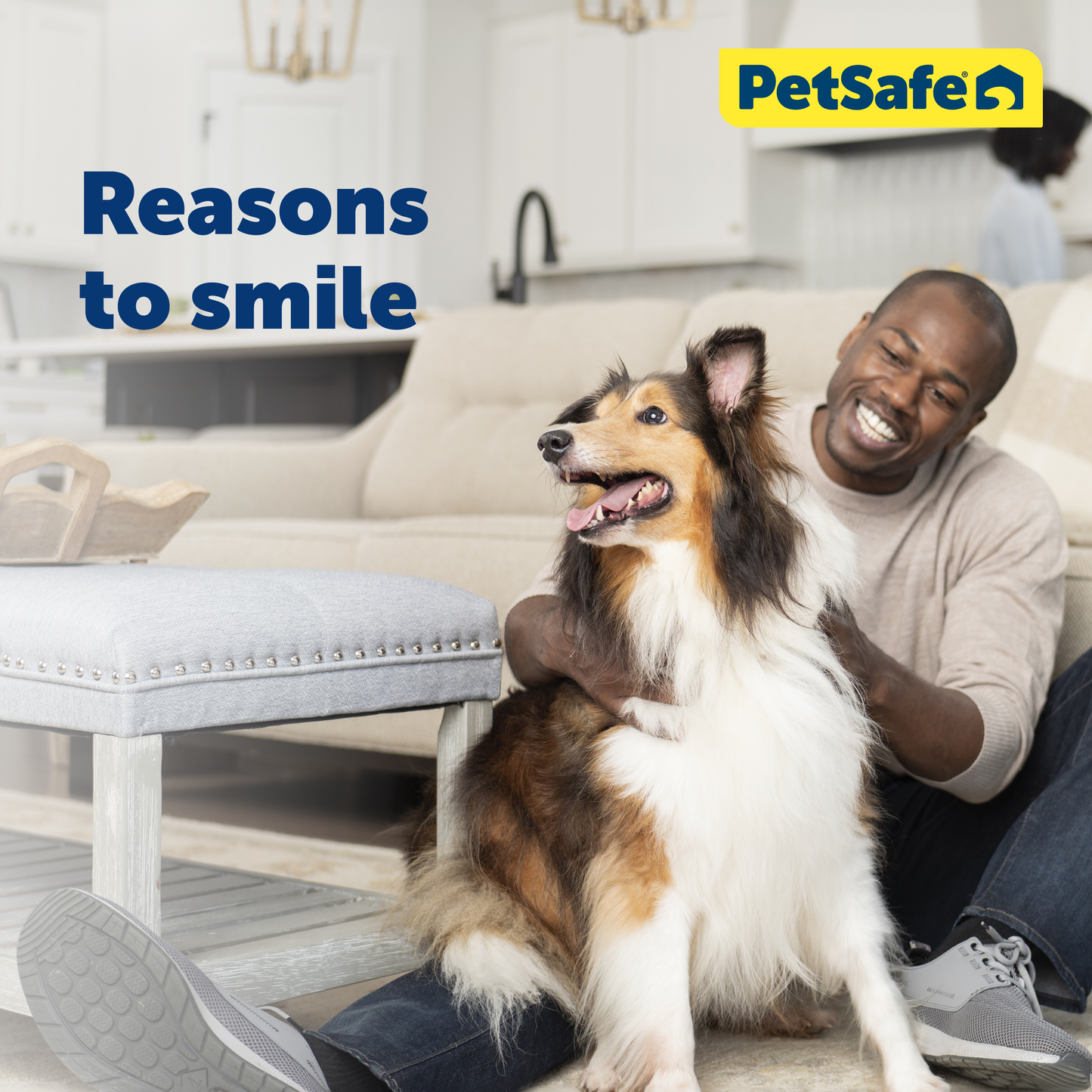 Closing Panel Pet Door Cover