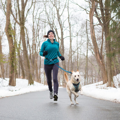 Quantum 6-in-1 Dog Leash