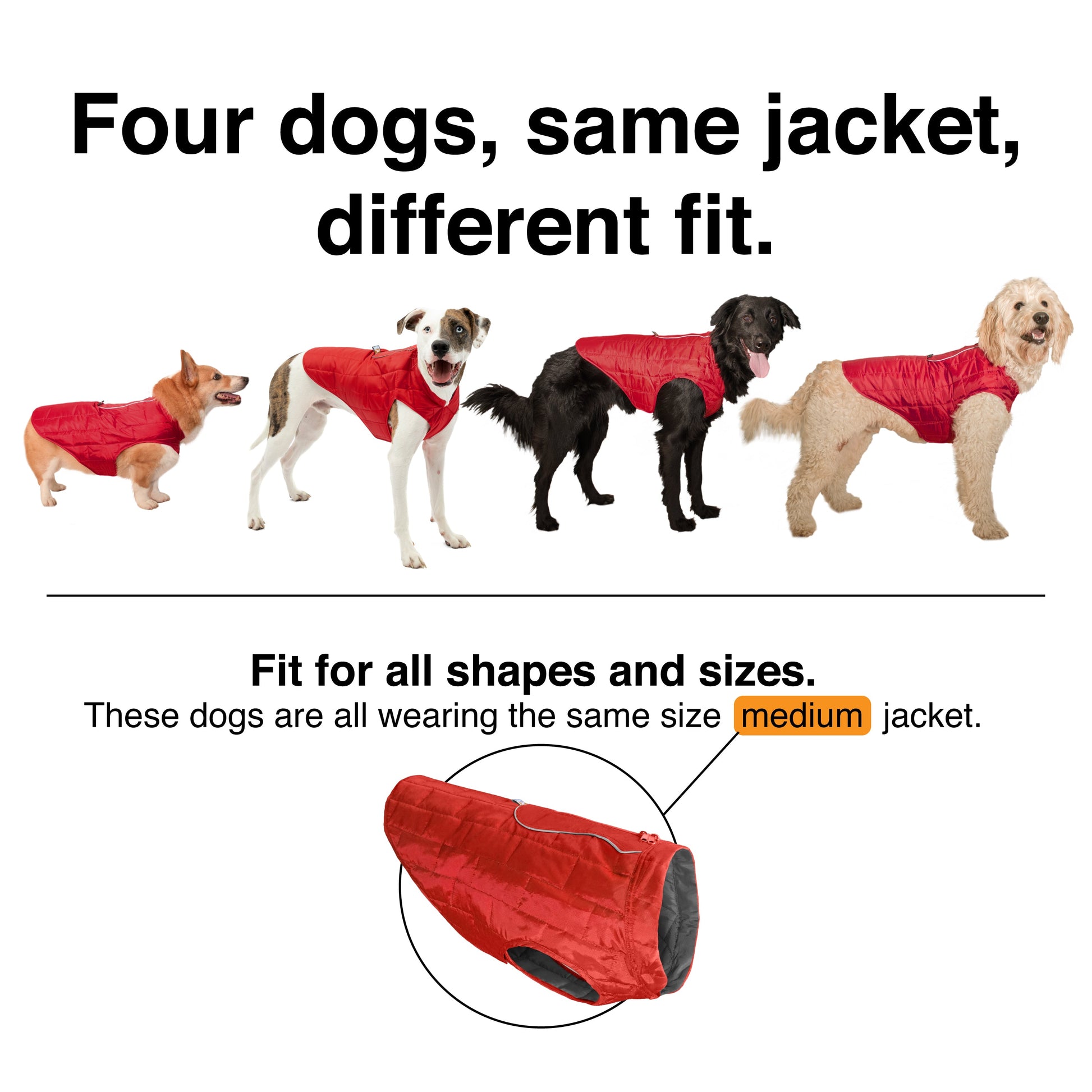 The back coverage for the Loft Jacket varies. Please measure your dog's chest and neck to get the most accurate fit.