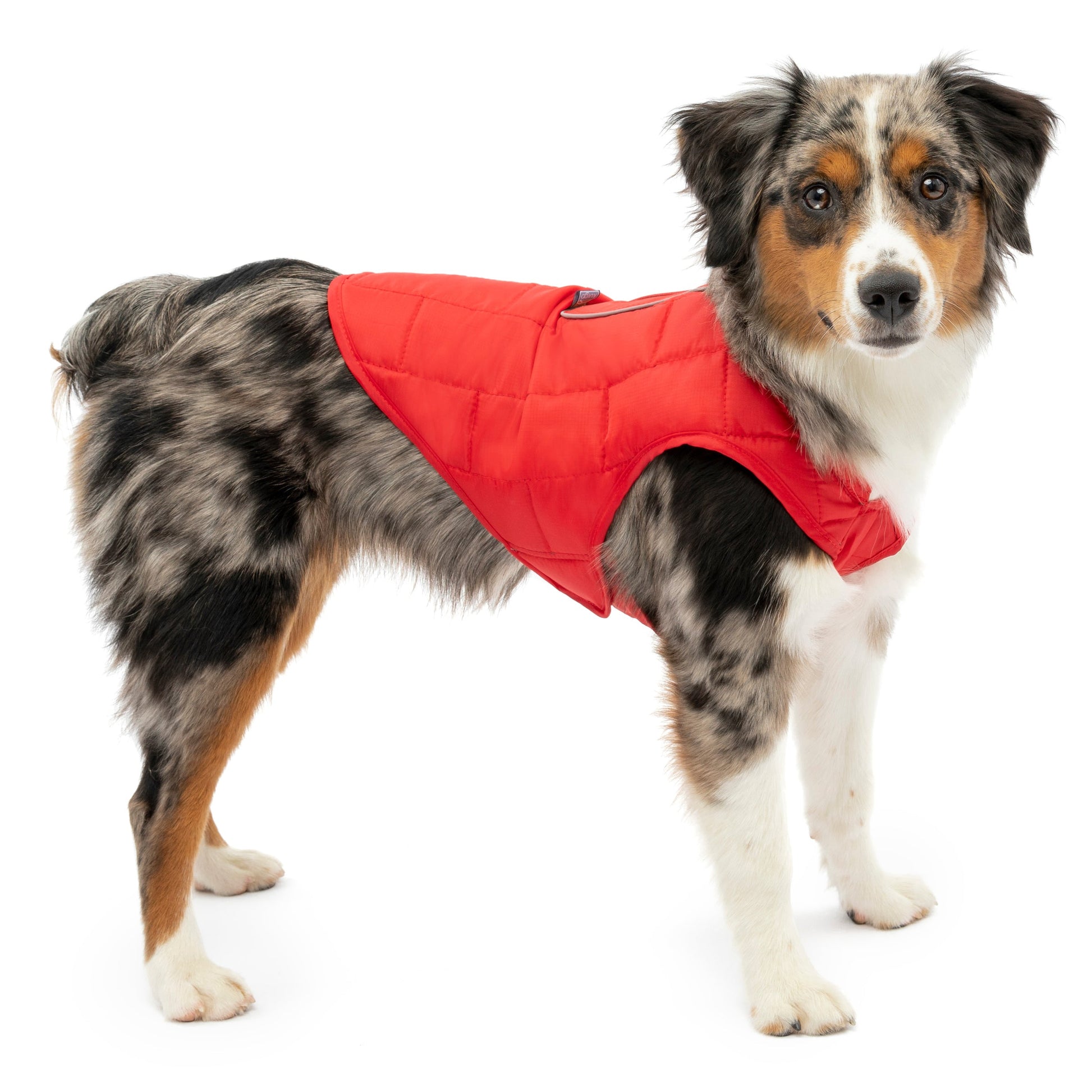 Gypsy is wearing the Loft Jacket in Chili Red.