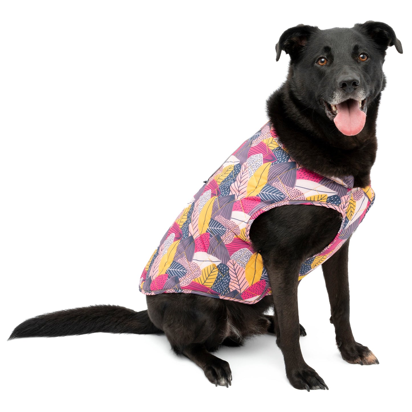 Badger is wearing the Loft Jacket in Fall Festival.