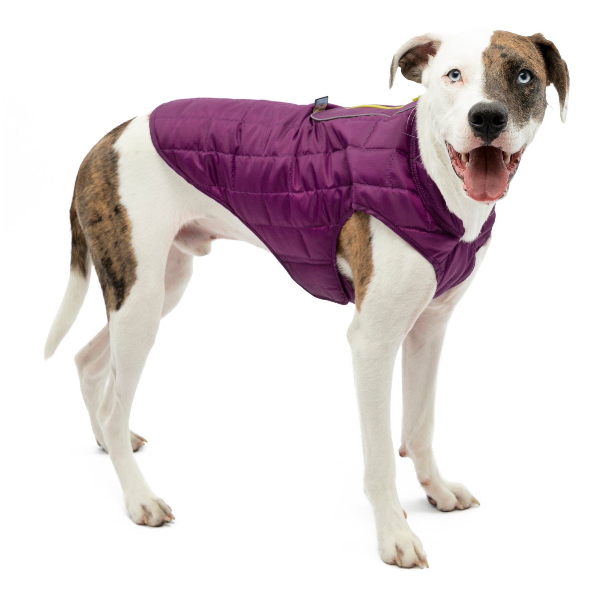 Mac is wearing the Loft Jacket in Violet.