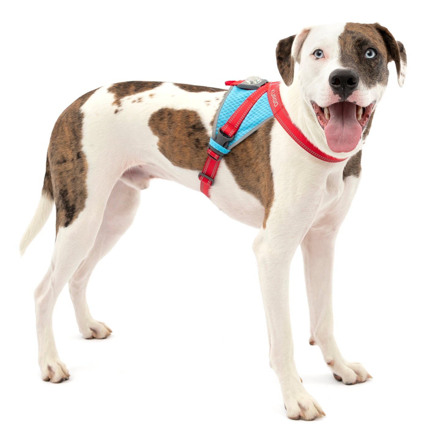 Mac is wearing the On-Trail Run-Lite Vest in size medium.