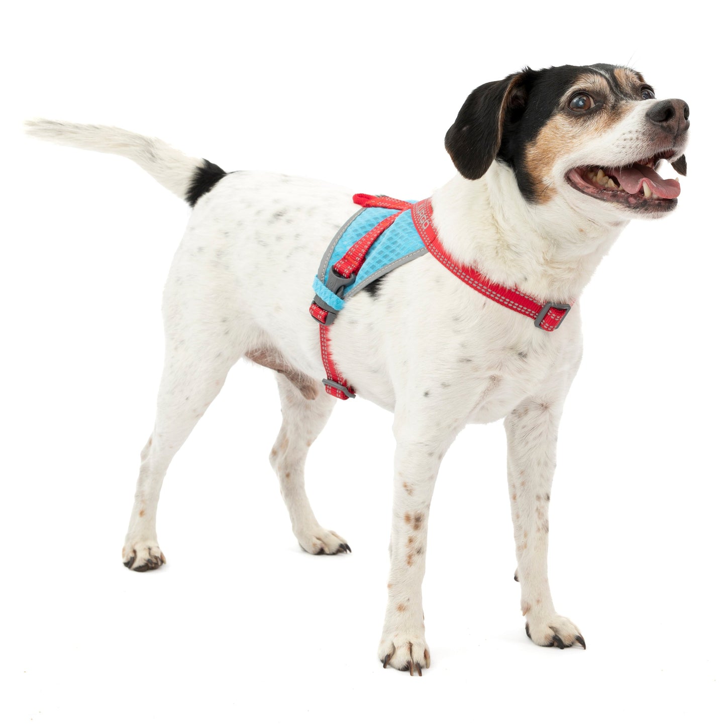 Romo is wearing the On-Trail Run-Lite Vest in size Small.