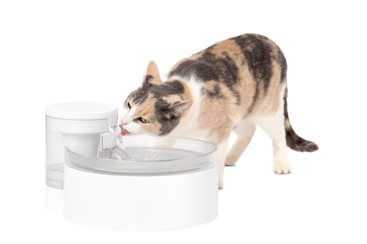 Cat drinking water from a pet fountain on a white background