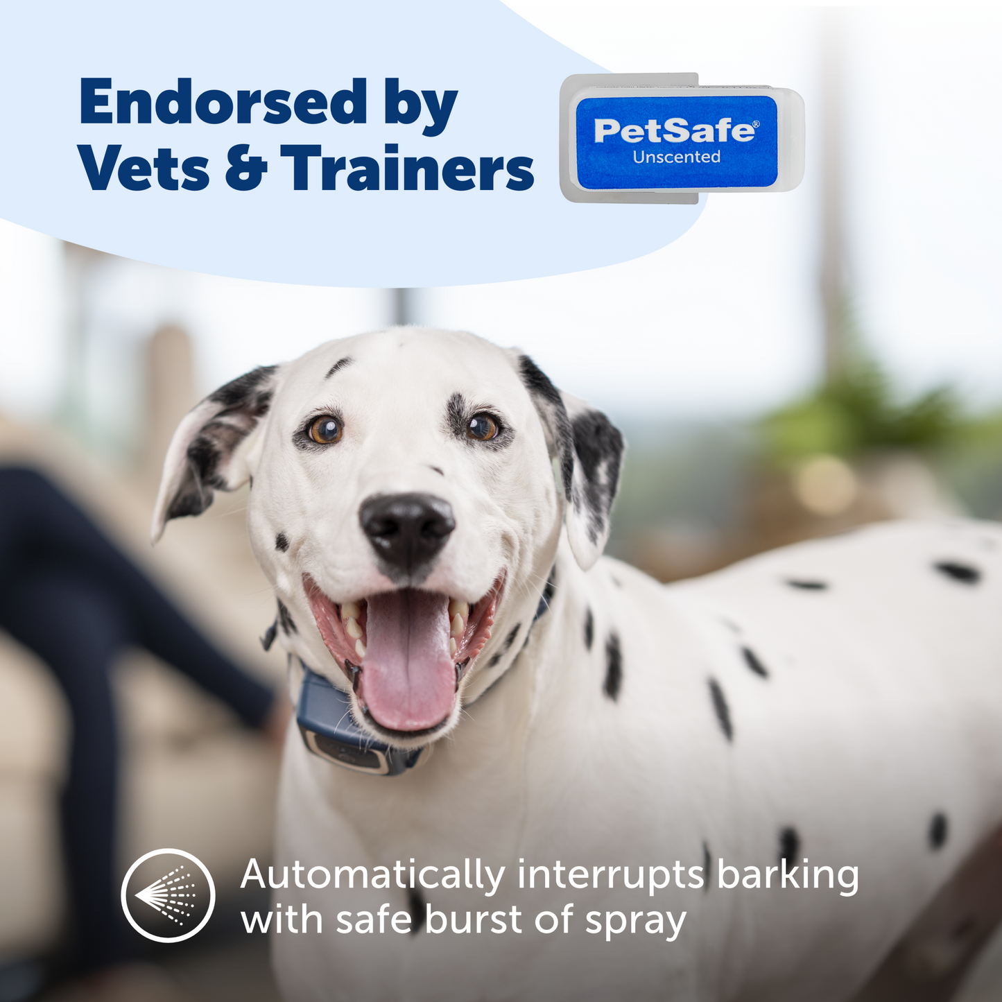 Spray Refill - Unscented (3-Pack)